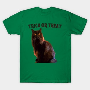 Trick or Treat T-Shirt